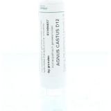 Homeoden - Agnus Castus D12 - Homeopathisch Middel - 6 Gram