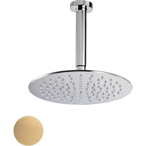 Royal plaza Thetis hoofddouche 25cm met plafondarm 15cm matgoud 01