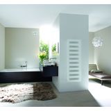 Royal Plaza Amaril radiator 600x1750 mm n11 as 50 mm 841w houtskool zwart 52552