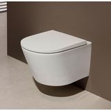 Royal plaza Haya toiletpack - 54x36.5cm - spoelrandloos - softclose zitting - glans wit 1773081