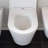QeramiQ Dely Hangtoilet - Toiletpot - diepspoel - met softclose zitting - Wit mat