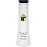 Royal KIS Cleanditioner Volume - 300ml - vrouwen - Voor