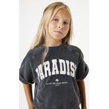 T-shirt - Verwassen Look - Korte Mouwen - Ronde Halslijn - 100% Katoen