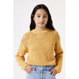 Garcia - Trui - Gebreide Trui