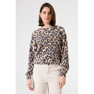 GARCIA - Luipaardprint Trui - Bruin - 72% Polyamide, 18% Viscose, 10% Polyester