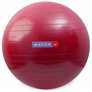 Fitnessbal - Anti Burst - Inclusief pomp - Ø 55 cm - Rood