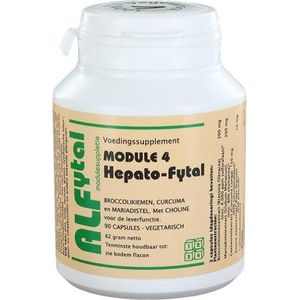 Hepato-Fytal - Fytotherapie - Plantenextracten - 60 Capsules