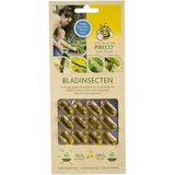 Pireco Bladinsecten capsules tegen spint 12 capsules