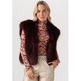 Beaumont - Sofie - Gilet - Beige