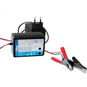 ProPlus Accutrainer 230V Naar 12V 10-250AH Adapter Oplader met Accuklem
