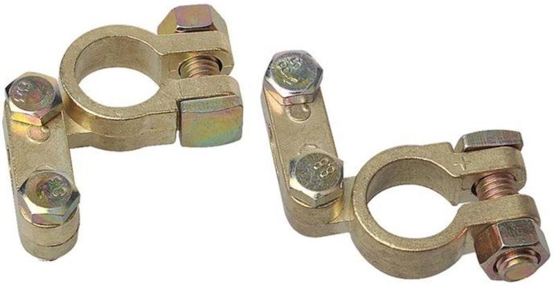 ProPlus - Accupoolklemmen Set - Messing - Blisterverpakking