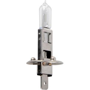 ProPlus Autolamp - 12V - 55W - P14.5S - H1 - blisterverpakking