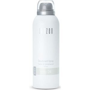 JANZEN Deodorant Spray Grey 04