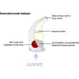 Saltpipe Mini Met Halitzout - 20 gram - 1 stuk