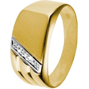 14 karaat geelgouden zegelring met diamant 0.01ct