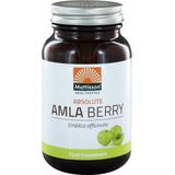 Mattisson Absolute amla berry extract 500mg 60 Vegetarische capsules