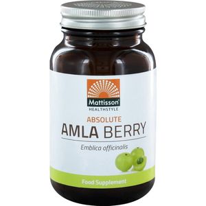 Mattisson Absolute amla berry extract 500mg 60 Vegetarische capsules