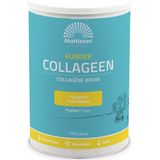 Mattisson - Runder Collageen Poeder Peptan Puur - 300 Gram