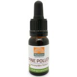 Mattisson - Dennenpollen Tinctuur - 10 ml