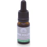 Mattisson - Dennenpollen Tinctuur - 10 ml