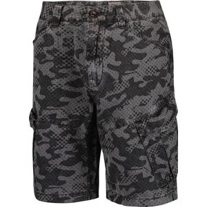 Falcon - Pelle - Shorts Katoen - Grijs