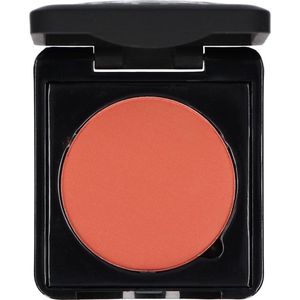 Make-up Studio Blusher in Box Type B - 42