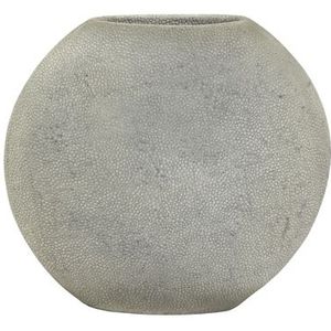 Light & Living Vaas Rayskin - Grijs - 40x14x36cm - Modern