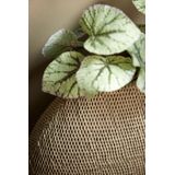 Light & Living - Vaas MASHABA - 40.5x14.5x36.5 - Grijs