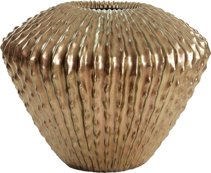 Light & Living - Vaas CACTI - Ø66x53cm - Goud