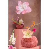 Vaas - Glas - Transparant