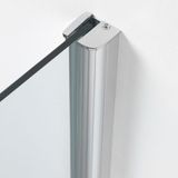 Sealskin Impact Swingdeur Met Zijwand 900x900mm Chroom/zilver Hoogglans | 8mm Helder Veiligheidsglas