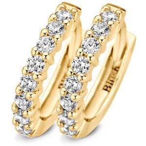 Blush  - Dames Creolen - Goud