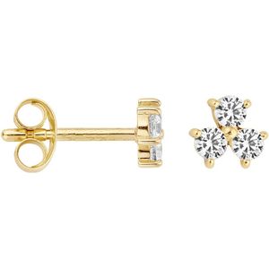 Blush - Oorstekers - Goud - Hoogwaardige Materialen