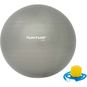 Tunturi Fitness bal - Yoga bal inclusief pomp - Pilates bal - Zwangerschaps bal - 65 cm - Kleur: zilver - Incl. gratis fitness app