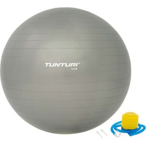 Tunturi Fitness bal - Yoga bal inclusief pomp - Pilates bal - Zwangerschaps bal - 75 cm - Kleur: zilver - Incl. gratis fitness app