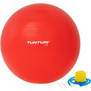 Tunturi Anti Burst Fitness bal met Pomp - Yoga bal 75 cm - Pilates bal - Zwangerschapsbal – 220 kg gebruikersgewicht - Incl Trainingsapp – Rood