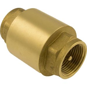 Bonfix - TerugstroomBeveiligings-Eenheid - Keerklep - met messing insert 2-1/2 - 2 x binnendraad