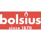 Bolsius Rustiek stompkaars 80/68 violet