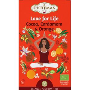 Shoti Maa Balance Lofe for Life - biologische kruiden- en specerijenthee met cacao, kaneel en sinaasappel
