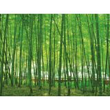 Polydaun Bamboe - Zomerdekbed - Tweepersoons - 200x200 cm - Wit