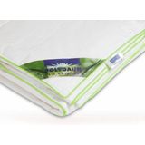 Polydaun - Bamboe Dekbed - Zomerdekbed - Lits-jumeaux - 240x200 cm - Wit