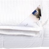 Polydaun Liv - dekbed - 4-seizoenen - anti-allergeen - Tripleguard behandeling - Lits-jumeaux XL - 240x220 cm