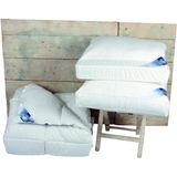 Polydaun Elke - Synthetisch - 4-seizoenen - Dekbed - Lits-jumeaux - 240x200 cm - Wit