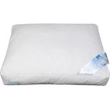 Polydaun Elke - Hoofdkussen - Daunfill gelvulling - navulbaar - anti-huisstofmijt Mitestop - 62x50x10/5 cm - stevig