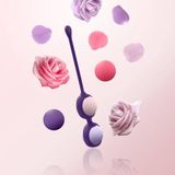Edc Sexuelle Gesundheit Bolas Chinas Keggel Pussy Playballs Rianne&apos;s