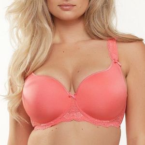 Daily Uni-Fit Plus BH Spiced Coral