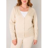 Beige Vest - V-hals - Lange Mouwen - Aansluitend - Knoopsluiting