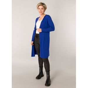 ES&SY vest blauw