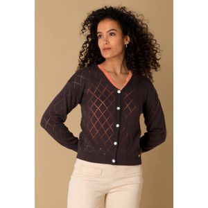 Ivy Beau - Fijn Gebreid Vest - Antraciet - V-hals - Lange Mouwen