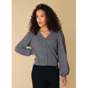 Ivy Beau - Rudy - Vest - Grijs - Korte Mouwen